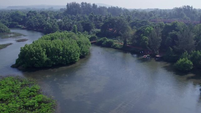 Aerial view of Honnavar mangrove landscapes with waterways and lush green surroundings scenery