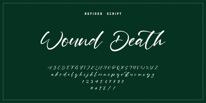 Hand drawn vector alphabet. Modern monoline signature script font. Elegant Signature Font. Best Alphabet Beautiful Calligraphy Signature Font