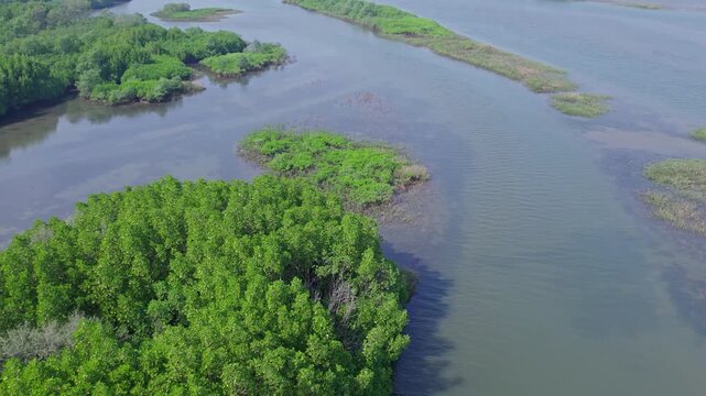 Dolly view of Honnavar mangrove landscapes with waterways and lush green surroundings scenery