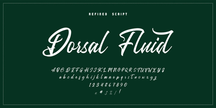 Hand drawn vector alphabet. Modern monoline signature script font. Elegant Signature Font. Best Alphabet Beautiful Calligraphy Signature Font
