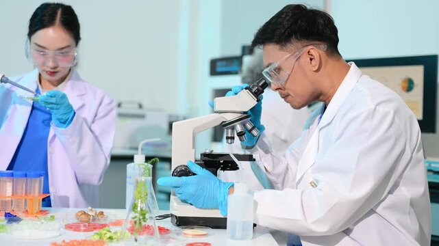 Team nutritionist in lab coat analyzing food and writing in notebook. Healthy eating, organic testing, and nutrition science in a clean lab.
