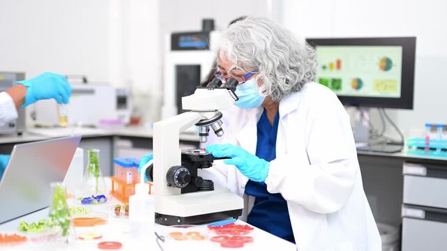 Nutrition expert in lab coat presenting soybeans and almonds in petri dishes. Healthy food, protein, diet, and food science concept. Clinical setting