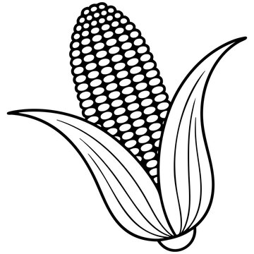 Black Corn Illustration With Oval Kernels and Veined Leaf Structure Isolated on a Transparent or White Background