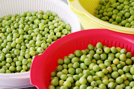 豆（Bean）