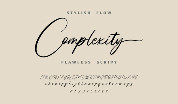 signature Font Calligraphy Logotype Script Brush Font Type Font lettering handwritten.  Best Alphabet Beautiful Calligraphy Signature Font.