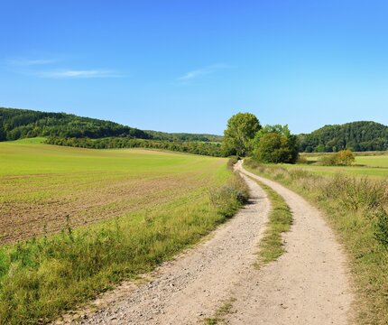 Field path winding through cultivated landscape in autumn, fields with winter sowing, hills covered with forest in the back, blue sky, Saalekreis, Saxony-Anhalt, Germany