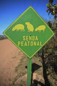 Sign Beware of Capybaras (Hydrochoerus hydrochaeris), Colonia Carlos Pellegrini, Esteros del Iber&aacute;, Province of Corrientes, Argentina