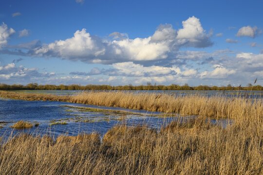 Clouds over the wet meadows in the Ochsenmoor at Lake D&uuml;mmer, spring, expanse, H&uuml;de, Lower Saxony, Germany