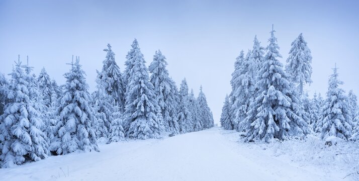 Panorama, snowy road through forest in winter with snow, Schneeberg, Fichtelgebirge, Upper Franconia, Franconia, Bavaria, Germany