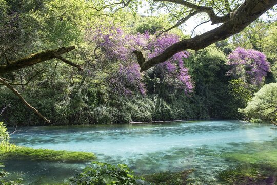 Mountain lake Syri i Kalt&euml;r, karst spring, underground terrain or so-called karst cave in carbonate rock formed by weathering, called the blue eye, Krongj, Albania