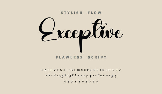 signature Font Calligraphy Logotype Script Brush Font Type Font lettering handwritten.  Best Alphabet Beautiful Calligraphy Signature Font.