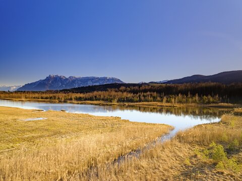 Moor lake in the Ainringer Moor, also moss, in the back the Untersberg, Ainring, Berchtesgadener Land, Upper Bavaria, Bavaria, Germany