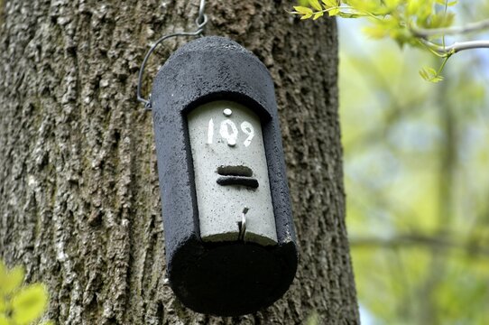 Nest box for bats