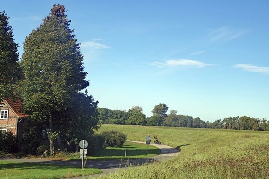 Cycle path along a dyke, green fields and trees under a blue sky on a clear day, autumn, cycle tourism, Elbe, Damnatz, Wendland, Lower Saxony, Germany
