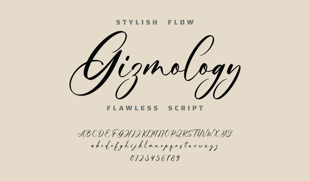 signature Font Calligraphy Logotype Script Brush Font Type Font lettering handwritten.  Best Alphabet Beautiful Calligraphy Signature Font.
