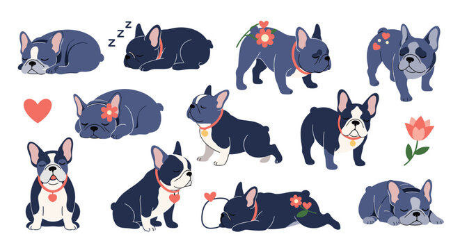 Charming collection of French Bulldog illustrations showing the puppy in various poses such as sleeping, sitting, playing, and with flowers.