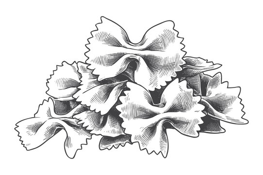 Detailed Engraving of Farfalle Bowtie Pasta Vector Graphic for Italian Deli Menus and Food Branding