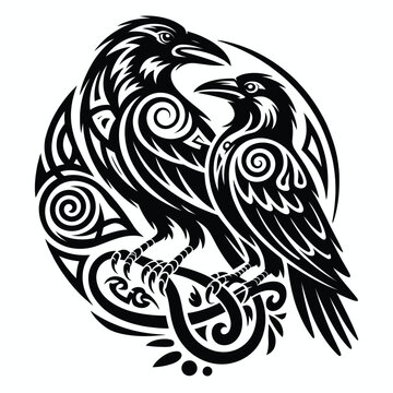 Nordic raven tattoo vector design with two huginn and muninn odin crows in celtic tribal knotwork circle emblem illustration