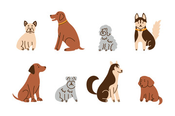 Dog breeds set, flat cartoon cute dogs collection with bulldog, labrador, poodle, husky and puppy. Pet animal characters vector illustration for dog lover, veterinary theme, isolated colored clipart © Elena