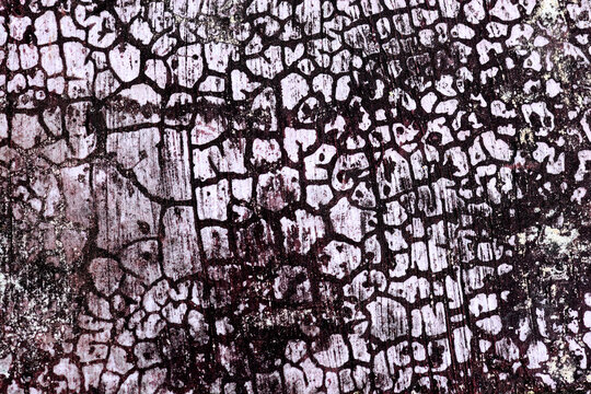 Abstract background of weathered purple concrete wall with dark webbed crack patterns.