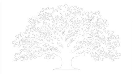 Fototapeta premium Minimalist oak tree outline vector, elegant white tree silhouette on white background, botanical line art for logo design and branding