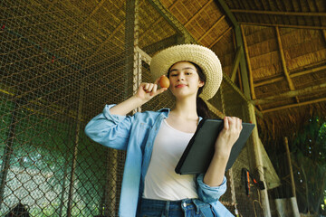 Farmers are checking the health of chickens on the farm in preparation for export.  © eakarat