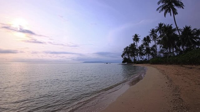 Palm beach with calm sea and distant landforms under soft light