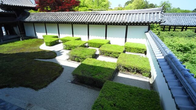京都・東福寺の新緑と青もみじ｜初夏に彩られる禅寺の美しい風景【4K Stock Footage】