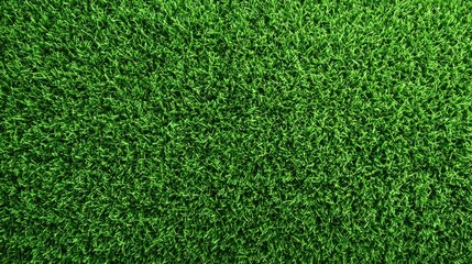 Fototapeta premium Vibrant green grass texture, perfect for backgrounds and natural design elements