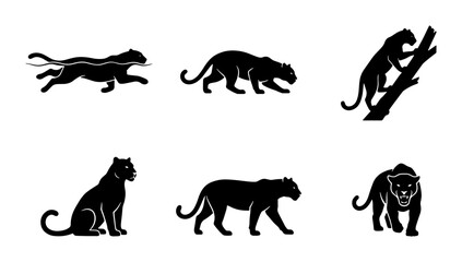 Black Panther Silhouettes, Big Cat Vector Icons, Wild Animal Graphics, Predator Poses Set © Samira