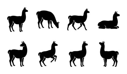Llama Silhouettes Collection: Diverse Poses, Black Vector Graphics for Animal Design © Samira