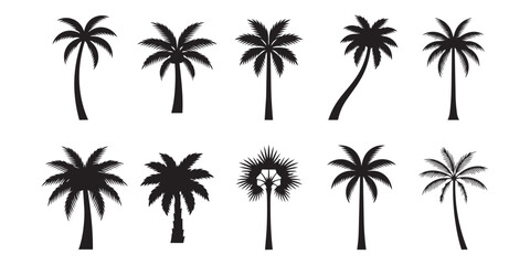 Obraz premium Silhouette of Palm Tree Fronds Against a White Background, Tropical Vector Art