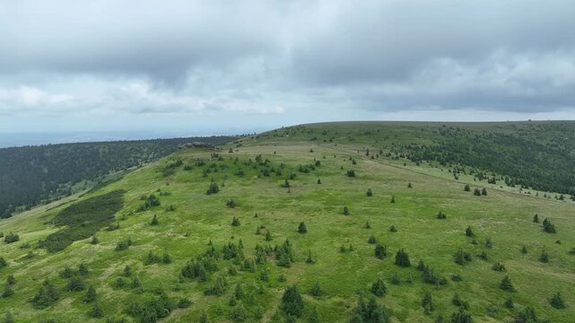 Protected landscape area Petrovy kameny mountain meadow tundra Peterstein peak Jeseniky Czech Republic aerial drone view during spring famous tourist place in Hruby Jesenik mountains range Praded