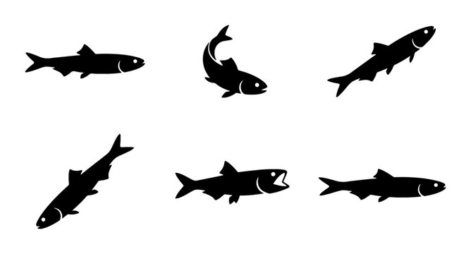Fish Silhouettes, Aquatic Life Icons, Seafood Vector Graphics, Marine Animal Illustrations