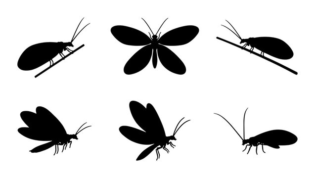 Insect Silhouettes, Butterfly and Moth Vector Icons, Flying and Perched Bug Graphics