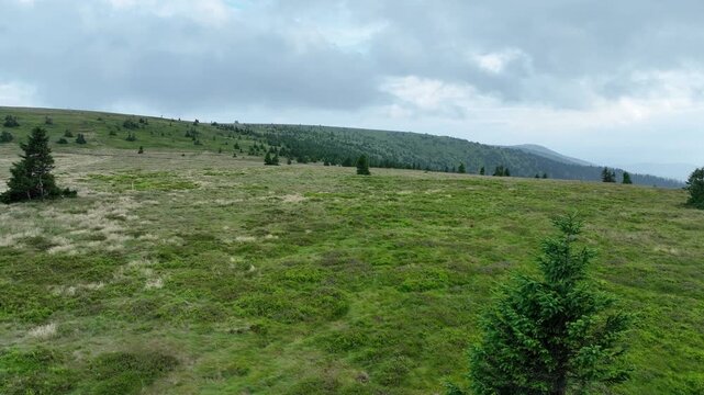 Mountain meadow tundra protected landscape area Petrovy kameny Peterstein peak Jeseniky Czech Republic aerial drone view during spring famous tourist place in Hruby Jesenik mountains range Praded