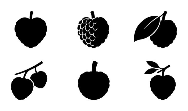 Tropical Fruit Icons: Cherimoya, Sugar Apple, Soursop, Star Apple, Black Sapote, Mamey Sapote