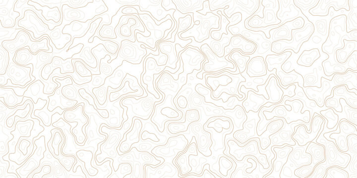Gray abstract topographic map contour lines pattern texture background illustration