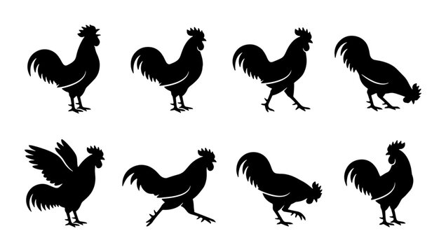 Rooster Silhouettes Collection, Farm Animal Icons, Poultry Vector Graphics, Black and White Farm Life