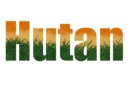 Indonesia jungle means hutan