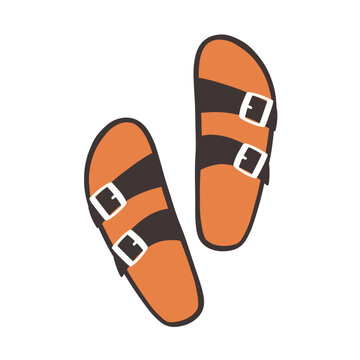 Backless open-toe sandals in modern style. Trendy women slides pair with straps and buckles. Summer shoes, top view. Fashion footwear, foot wear. Flat vector illustration isolated on white background