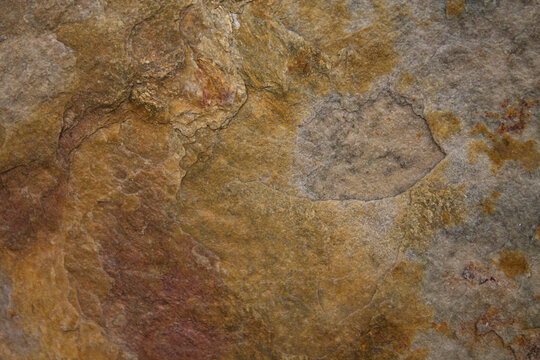 Brown concrete wall, grunge stone texture, rock surface background, wide panoramic banner