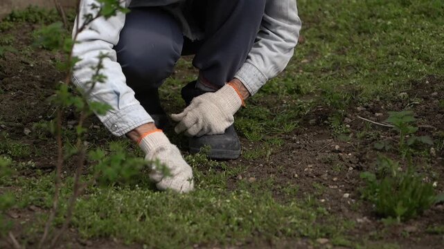 A person wearing gloves kneels close to the ground in a grassy outdoor setting, working with both hands during daylight. The low-angle view suggests garden or