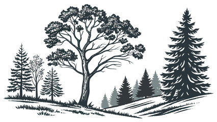 Graphic illustration of deciduous and coniferous forest landscape with woodland © khadija