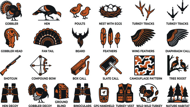 Turkey Hunting Equipment And Wildlife Icons Vector Illustration Collection