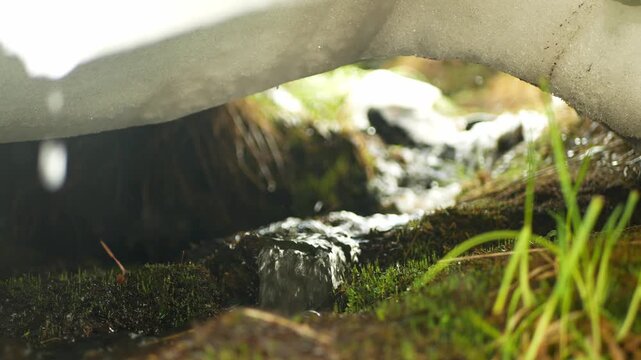 Moravice river spring in the mountains snowmelt ice flowing flows clear clean calm bodies of water ecosystem of river algae mosses plants dense green clumps or mats natural stream tourist spot