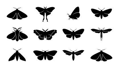 Diverse Moth Silhouettes Collection, Insect Vector Icons, Nocturnal Butterfly Shapes, Graphic Elements © Rakibul