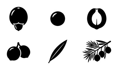 Botanical Icons: Acorn, Berry, Seed, Leaf, Branch, Vector Set © Rakibul