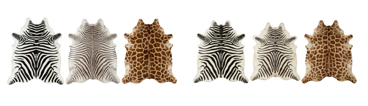 Collection of animal print rugs, zebra and giraffe skin patterns isolated on transparent background