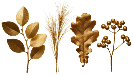 Golden leaves oak leaf grass, and berries branch © Femke